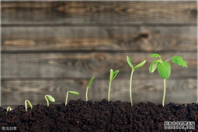 微量元素的重要意義